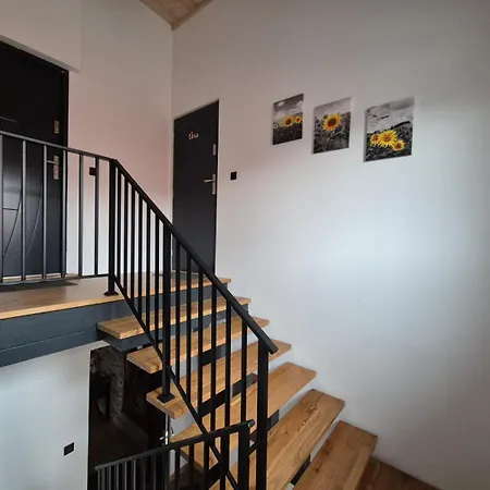 Luxusne Z Tarasami - Isabel Telgárt